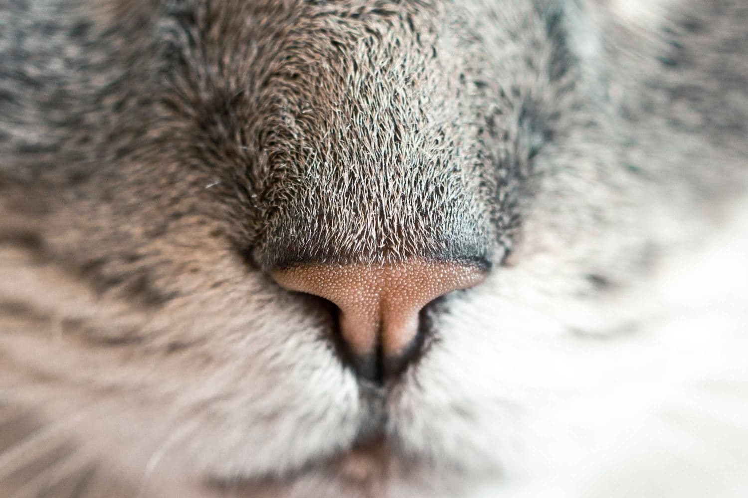 Placeholder — utvald bild 2